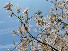 -西北湖绿化广场