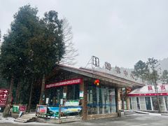 -武陵山森林公园