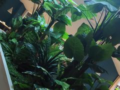 -悦海·家宴·冰花皮皮虾大锅贴(宝龙店)