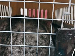 -美联众合动物医院·24h京西诊疗中心