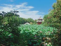 -莲池书院博物馆