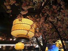 大堂-绿茶餐厅(昌平悦荟店)