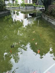 -莲生母婴月子中心(清水河公园店)