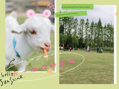 -前小桔亲子创意农场·草莓采摘·露营烧烤