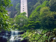 -碧峰峡风景区