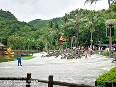 -西双版纳原始森林公园
