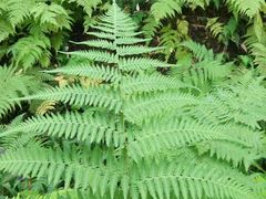 -南京金牛湖风景区