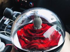 -ROSEONLY诺誓(青岛万象城店)