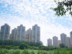 -前关湿地公园