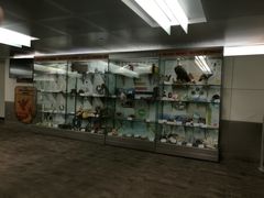 -纽瓦克自由国际机场