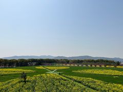 -苏州太湖西山岛开心农场