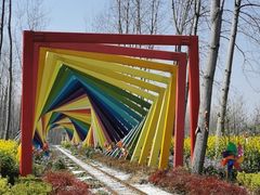 -合肥滨湖国家森林公园