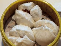 -东方早茶 海鲜•青岛菜(国信体育中心店)