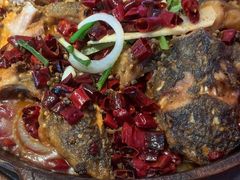 -老板恋上鱼(恒隆广场店)