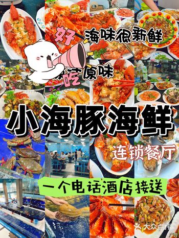 惊艳味蕾！三亚顶级海鲜，小海豚让你欲罢不能！