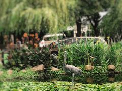 -苏州河梦清园环保主题公园