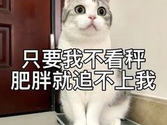 -上海莎海国际酒店