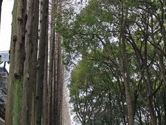 -上海方塔园