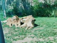 -北京野生动物园