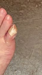 -奇幻丛林(佛罗伦萨小镇店)