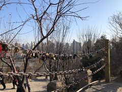 -南翠屏公园
