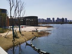 -洋湖国家湿地公园