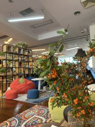 -皇冠瑜伽·普拉提·疼痛康复