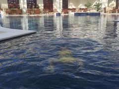 -京津新城温德姆至尊酒店(珠江大道店)