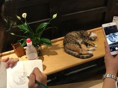 -猫的天空之城概念书店(杭州南宋御街店)