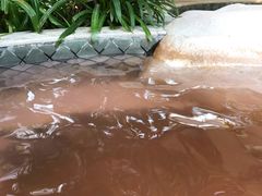 -碧水湾温泉
