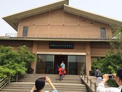 iphone_upload_pic-溱湖国家湿地公园