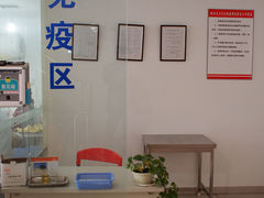 店内环境-艾贝尔宠物医院·24H转诊中心·肿瘤猫专科(江宁双龙店)