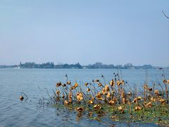 -东湖落雁景区
