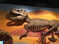 -北京科学中心儿童乐园