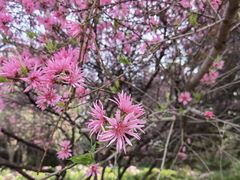 -洛阳市隋唐城遗址植物园
