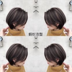 -蚂蚁造型沙龙