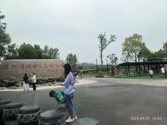 -合肥滨湖国家森林公园