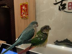 -盤古Spa泰式古法抓龙筋(鲁迅路店)