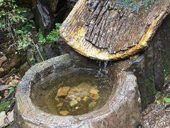 -黑龙潭风景区