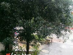 -黔蘑菇四季餐厅(观山湖店)