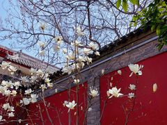 -西安市广仁寺