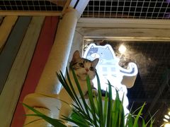 -小时光咖啡馆(开森度假森林店)