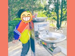 -大兴滨河森林公园