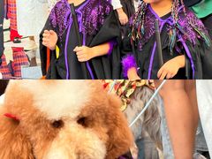 -华谊兄弟（长沙）电影小镇