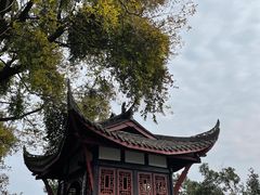 -桂湖森林公园
