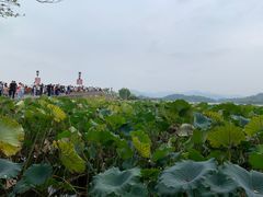 -文武王氏烧饼·无矾油条(西溪路店)
