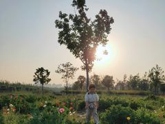 -汉长安城未央宫国家考古遗址公园