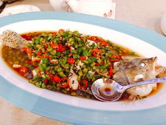 青椒葱香桂花鱼-尚一汤·粤菜海鲜(环球港店)