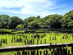 -河姆渡遗址博物馆