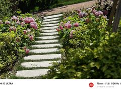 -陆家嘴中心绿地